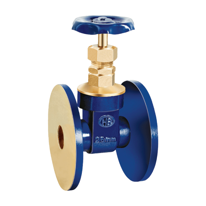 Bronze Gate Valve Flanged